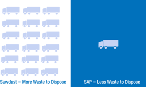 SAP vs Sawdust Costs Comparison